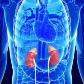 kidney-issues-image-300x300
